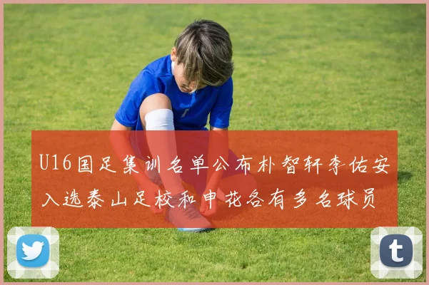 U16国足集训名单公布朴智轩李佑安入选泰山足校和申花各有多名球员参与