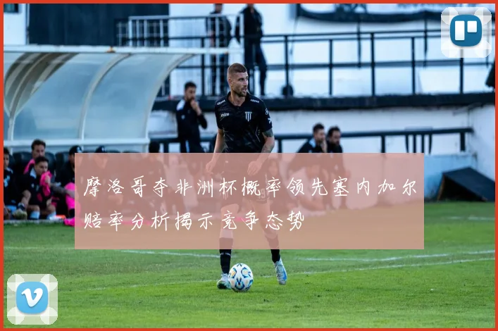 摩洛哥夺非洲杯概率领先塞内加尔赔率分析揭示竞争态势