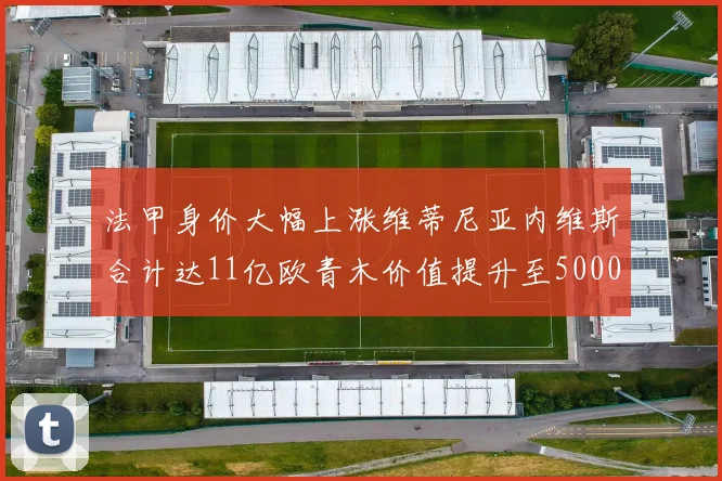 法甲身价大幅上涨维蒂尼亚内维斯合计达11亿欧青木价值提升至5000万