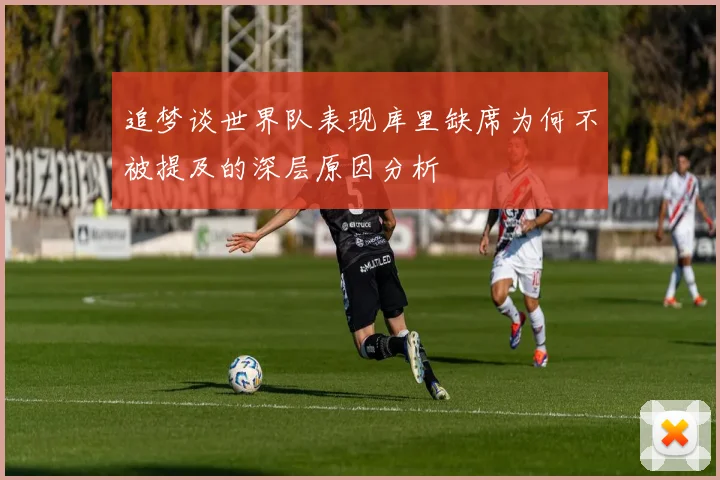 追梦谈世界队表现库里缺席为何不被提及的深层原因分析