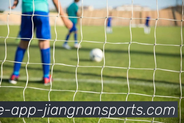 江南体育APP 封面图